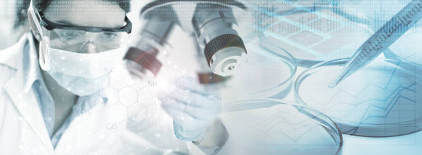 干細(xì)胞治療2型糖尿病的前景：從臨床突破看治愈希望