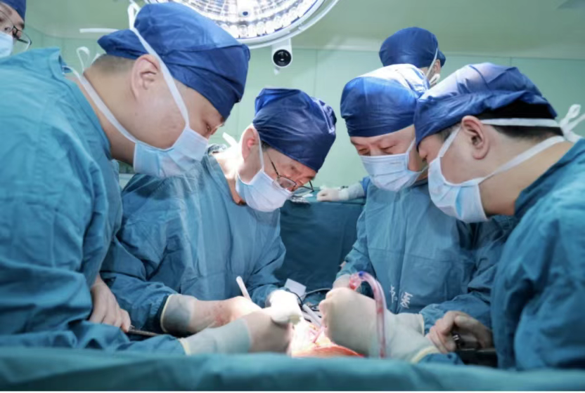 西京醫(yī)院肝膽外科竇科峰院士、楊詔旭副教授等為受體移植豬肝