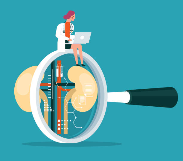 透析、腎移植還是干細(xì)胞治療？3種慢性腎病治療方法的全面比較與選擇指南