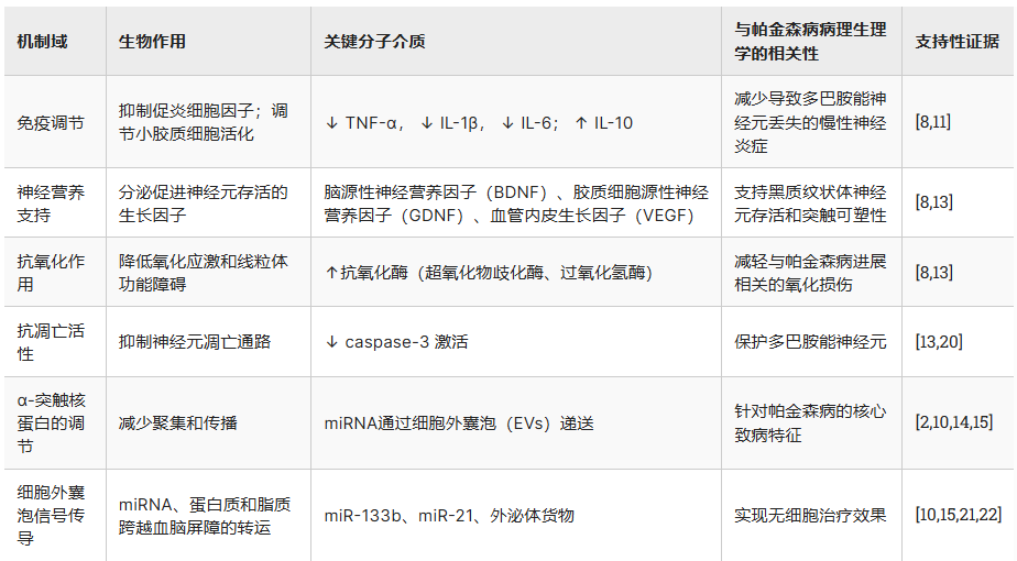表1：間充質(zhì)干細(xì)胞/基質(zhì)細(xì)胞（MSC）治療帕金森?。≒D）的可能機(jī)制