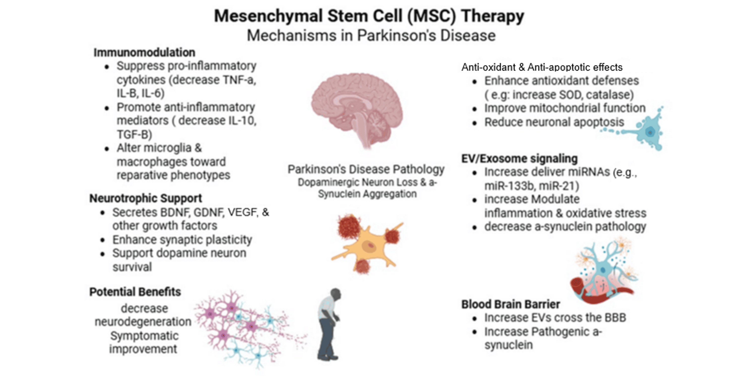圖2：間充質(zhì)干細(xì)胞治療帕金森病的機(jī)制